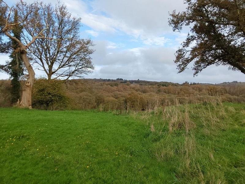 Maison - 171 m² - 5 pièces