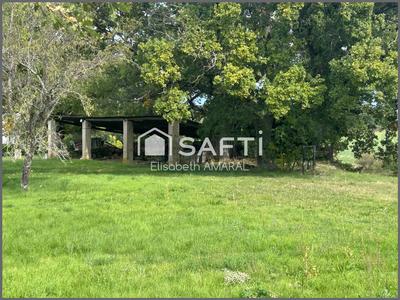 Ferme - 131 m² - 5 pièces