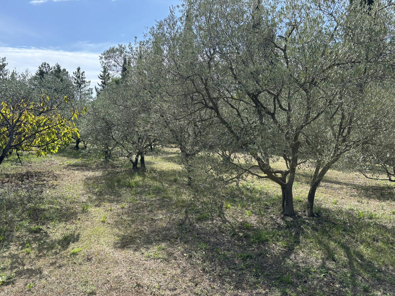 Mas - 269 m² - 10 pièces