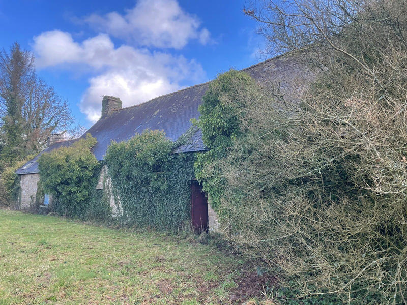 Maison ancienne - 150 m² - 3 pièces