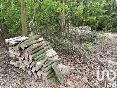 Terrain - 30 760 m²