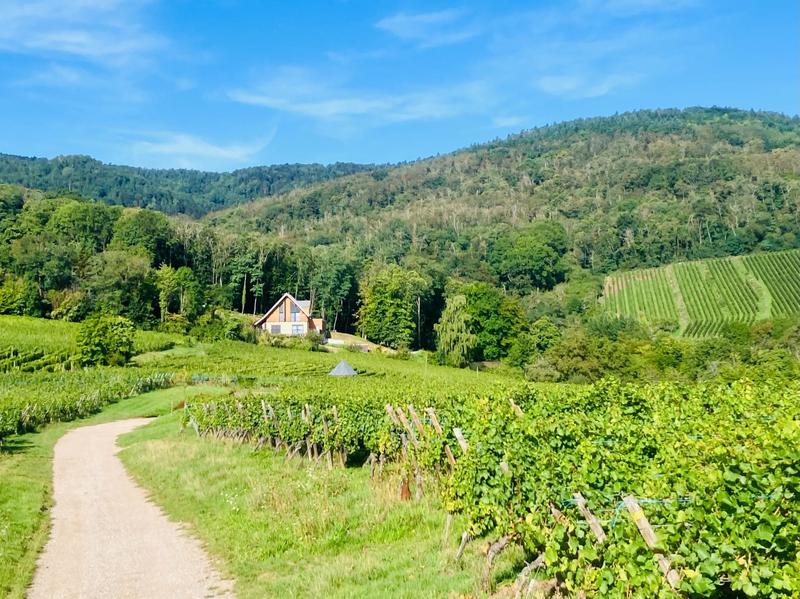 Villa - 295 m² - 15 pièces