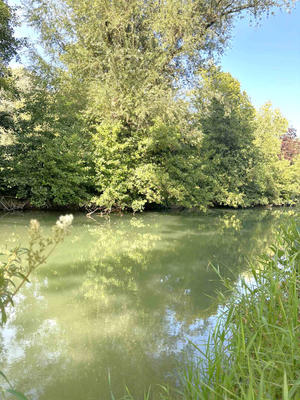 Terrain de loisirs - 3 601 m²