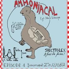 Arnaud Aymard - Ammoniacal - le Solo, Paris