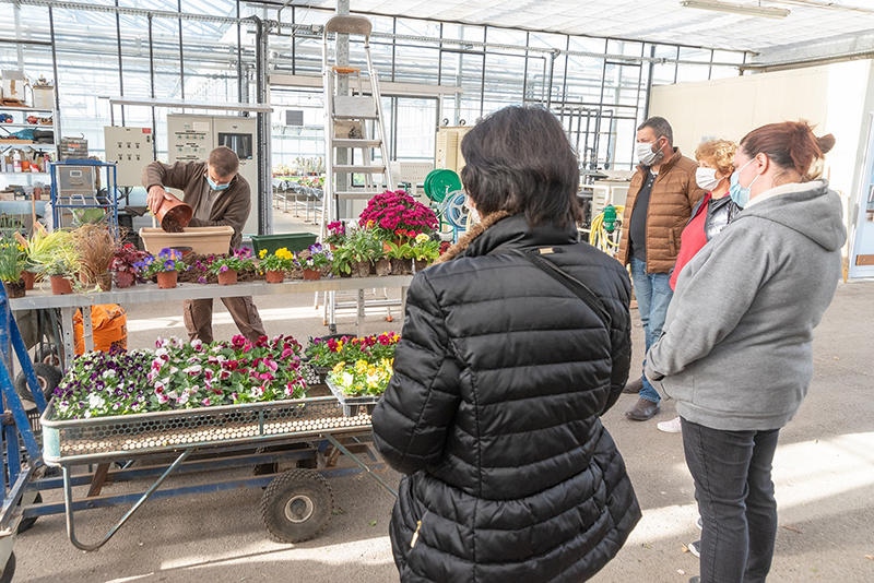Je créé mon jardin condimentaire