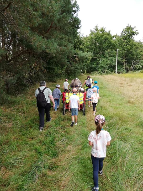 Balades et randonnées avec un âne