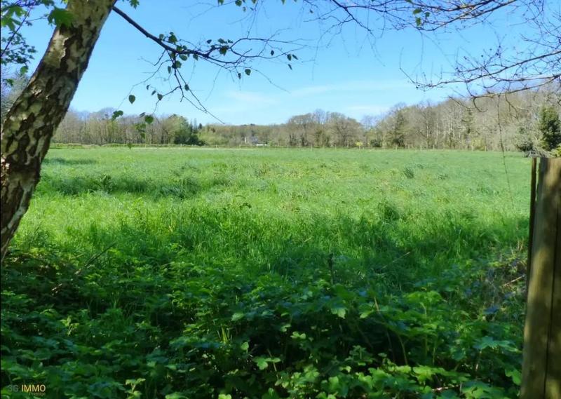 Longère - 275 m² - 11 pièces