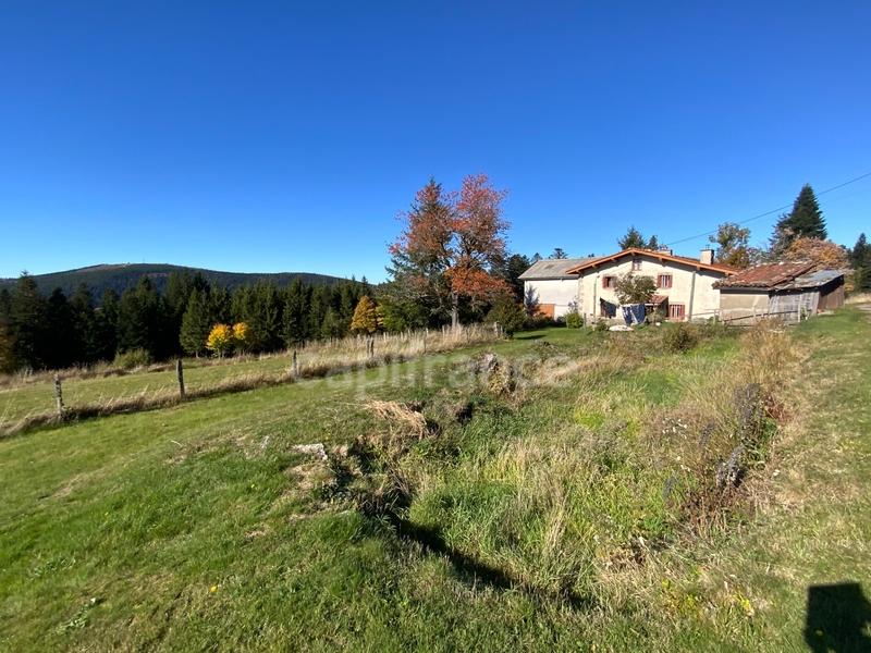 Maison de campagne - 95 m² - 4 pièces