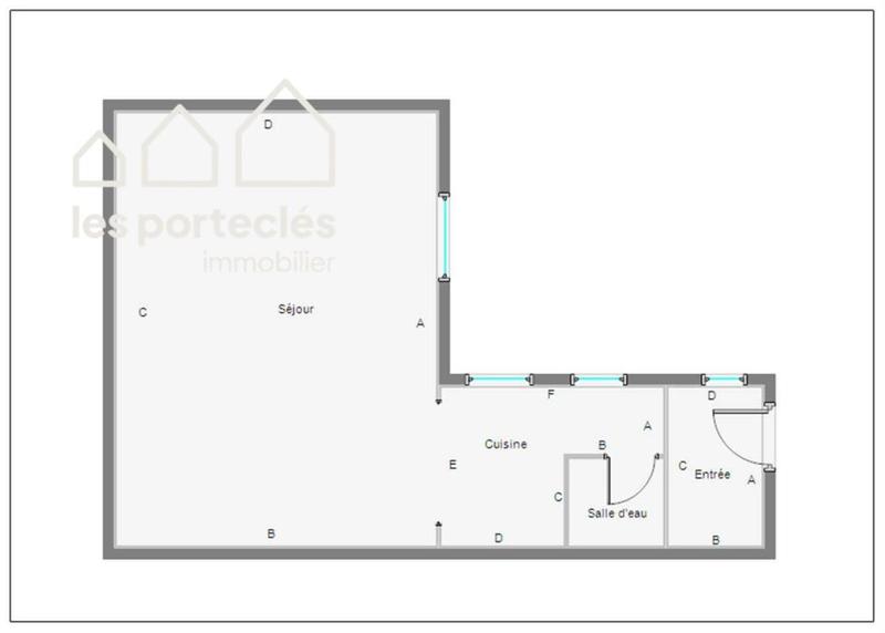 Loft - 48 m² - 1 pièce