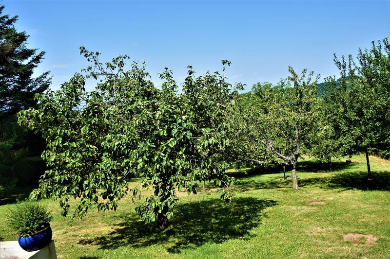 Villa - 150 m² - 6 pièces