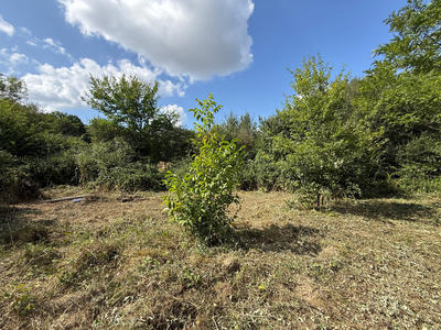 Maison - 70 m² - 2 pièces