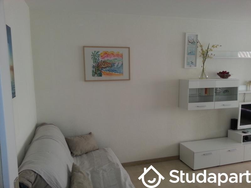 Appartement - 29 m² - 1 pièce