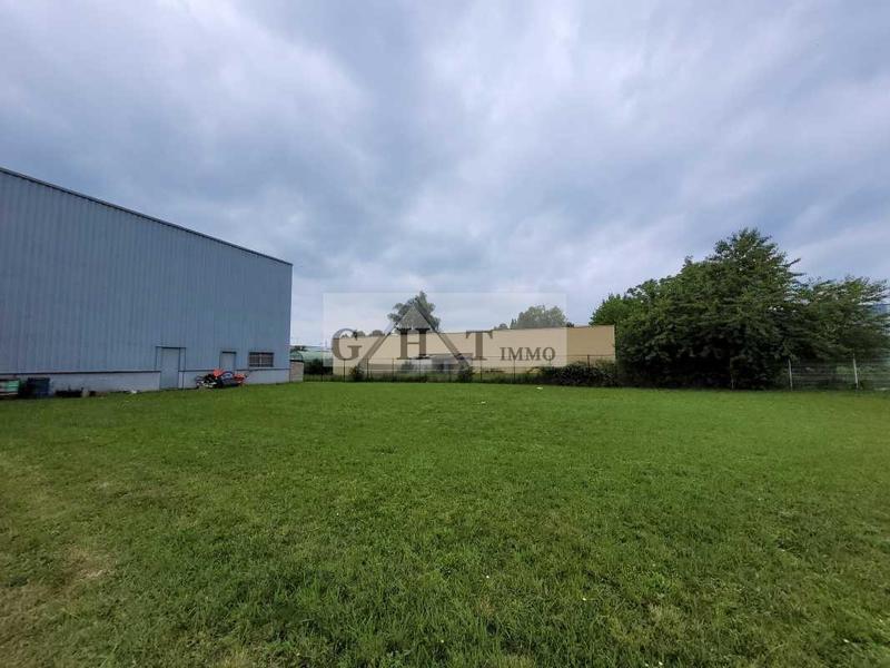 Entrepôt - 1 423 m²