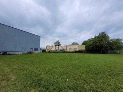 Entrepôt - 1 423 m²