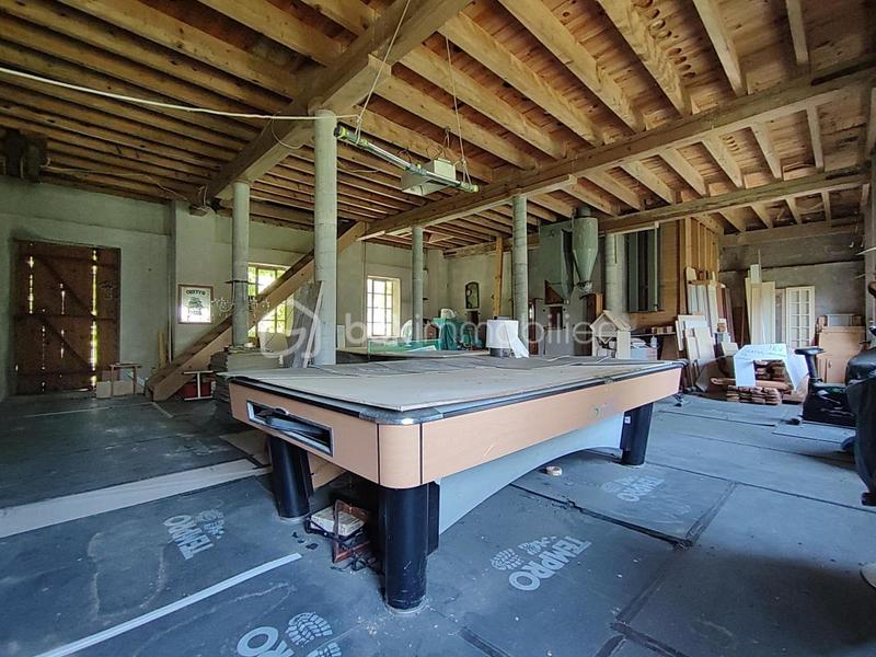 Moulin - 287 m² - 12 pièces