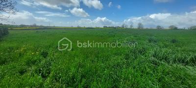 Terrain constructible - 4 000 m²