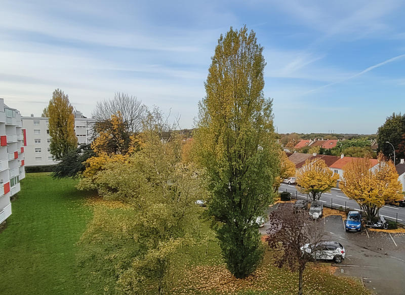 Appartement - 76 m² - 3 pièces