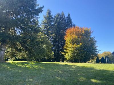 Maison ancienne - 66 m² - 4 pièces