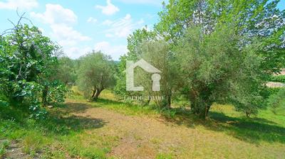 Terrain constructible - 4 500 m²