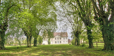 Château - 315 m² - 14 pièces