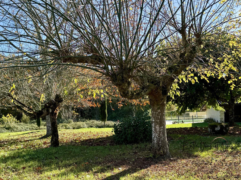 Maison ancienne - 224 m² - 5 pièces