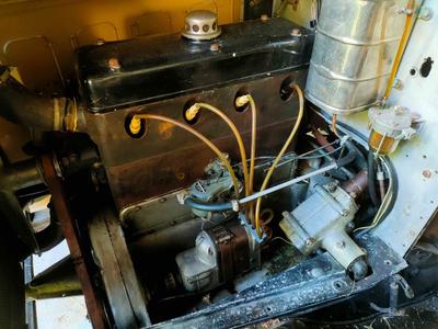 Delage di 11 Semi Weymann