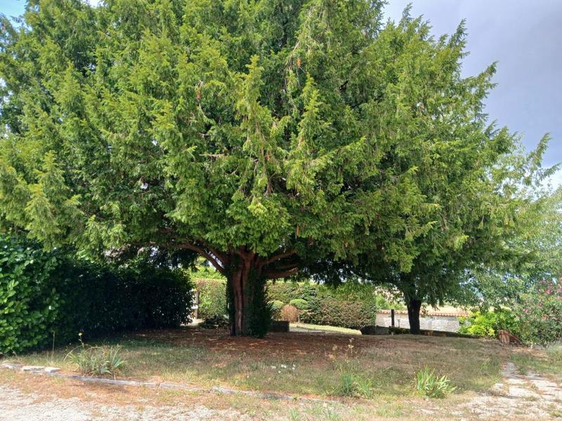 Maison en pierre - 191 m² - 6 pièces