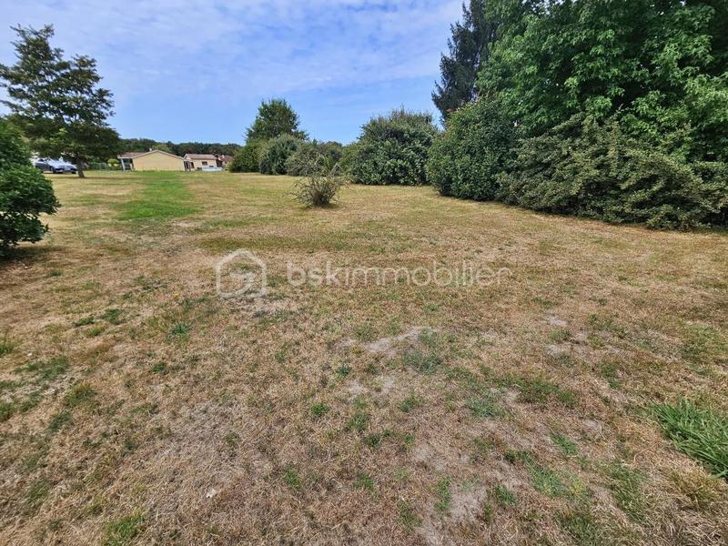Terrain constructible - 1 428 m²