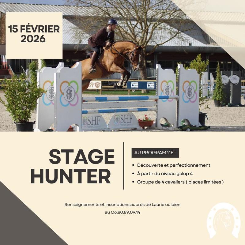 Stage d'équitation - Hunter