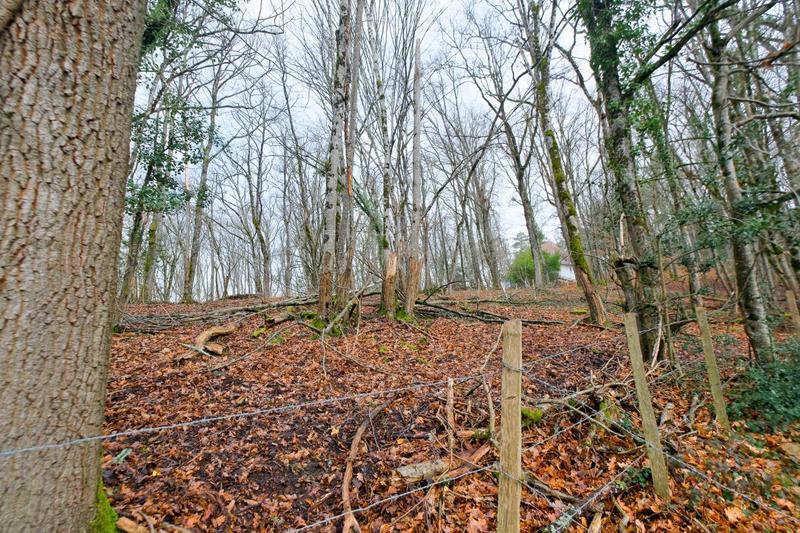 Terrain - 24 000 m²