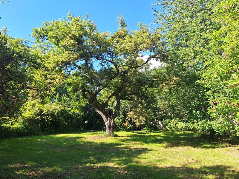 Moulin - 189 m² - 6 pièces