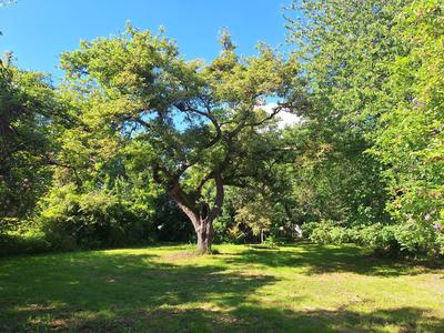 Moulin - 189 m² - 6 pièces