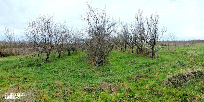 Terrain agricole - 120 000 m²