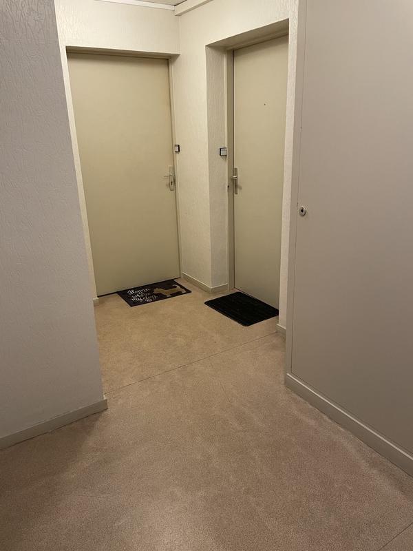 Appartement - 55 m² - 2 pièces