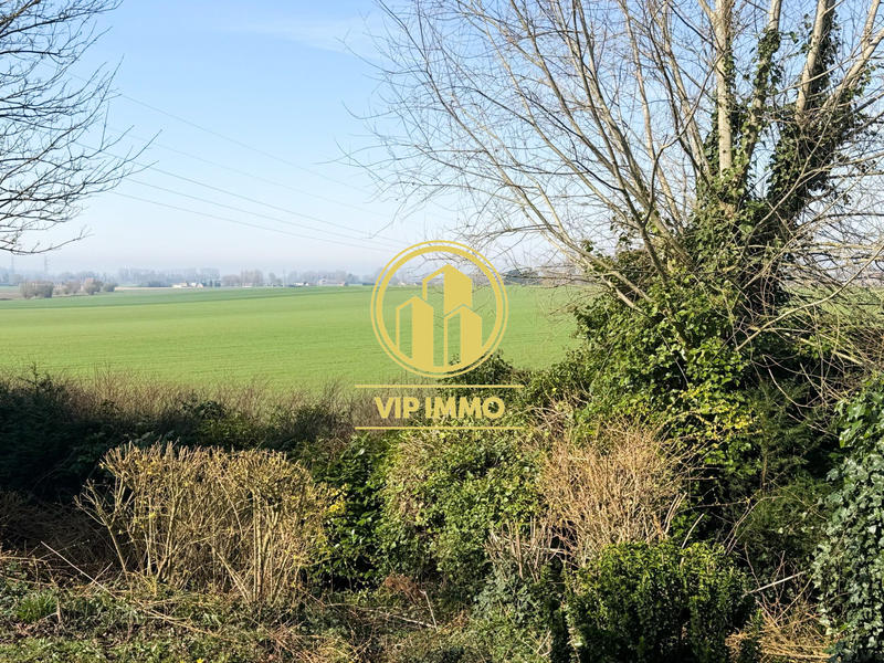 Terrain - 974 m²