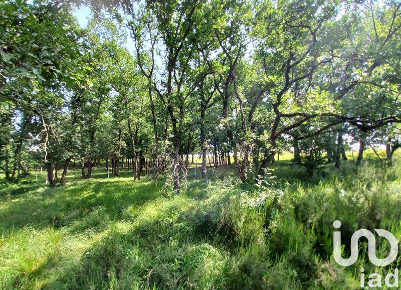 Maison - 132 m² - 4 pièces