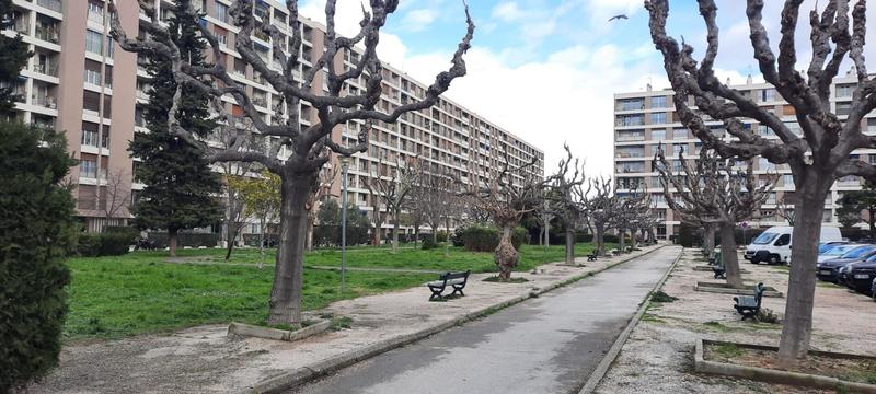 Appartement - 66 m² - 4 pièces