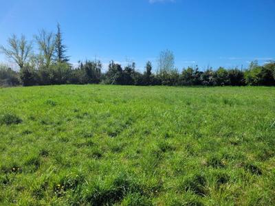 Terrain - 1 025 m²