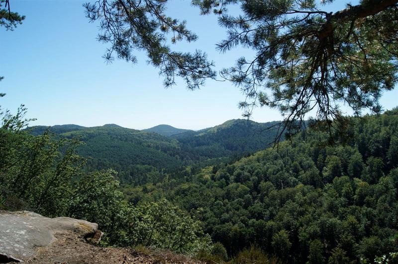 Initiation Geocaching au Loosthal