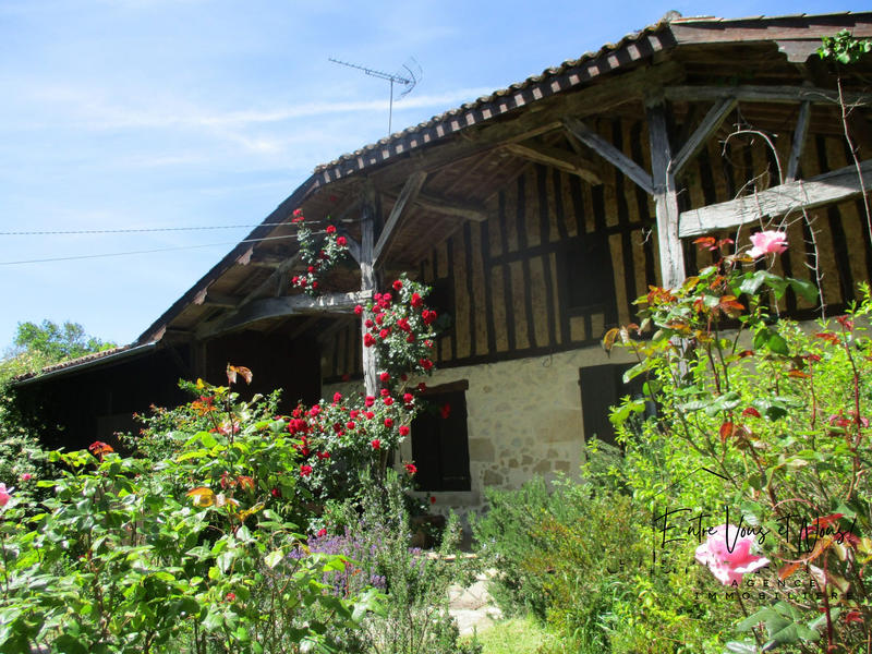 Maison ancienne - 268 m² - 8 pièces