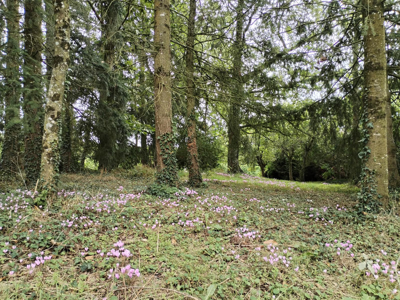 Maison - 163 m² - 6 pièces