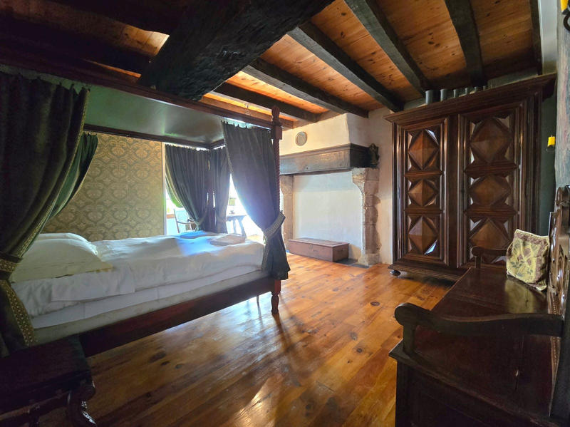 Maison ancienne - 435 m² - 17 pièces