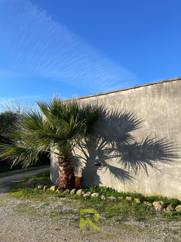 Mas - 294 m² - 8 pièces