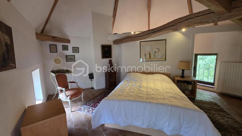 Moulin - 390 m² - 10 pièces