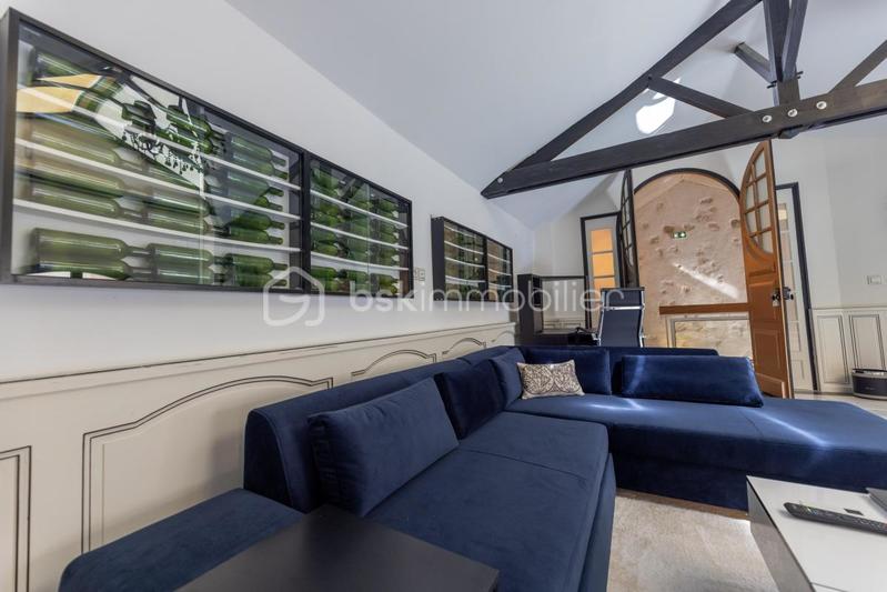 Hôtel particulier - 600 m² - 14 pièces