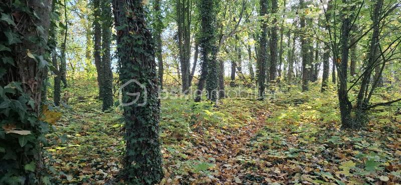 Maison traditionnelle - 209 m² - 6 pièces