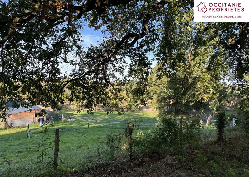 Propriété - 356 m² - 15 pièces