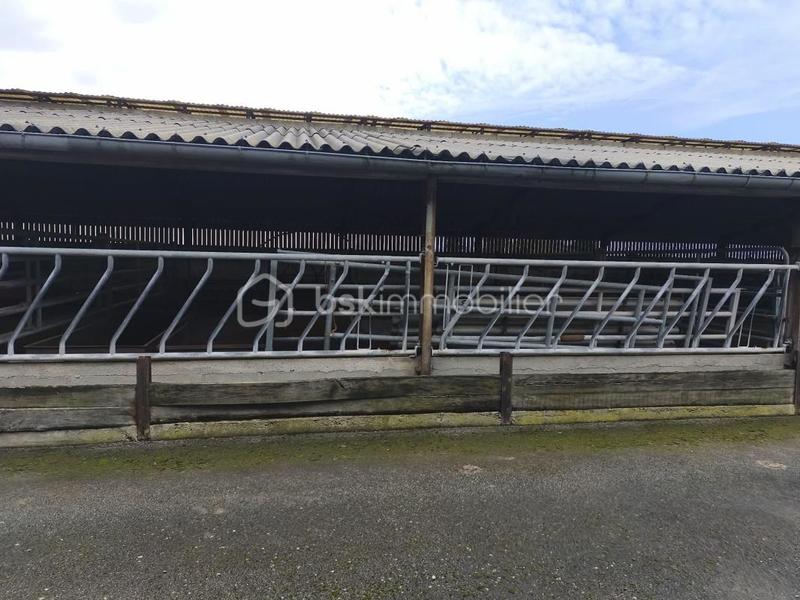 Corps de ferme - 90 m² - 1 pièce