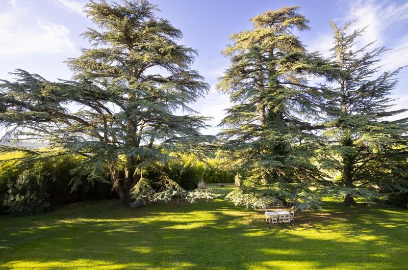 Manoir - 750 m² - 40 pièces