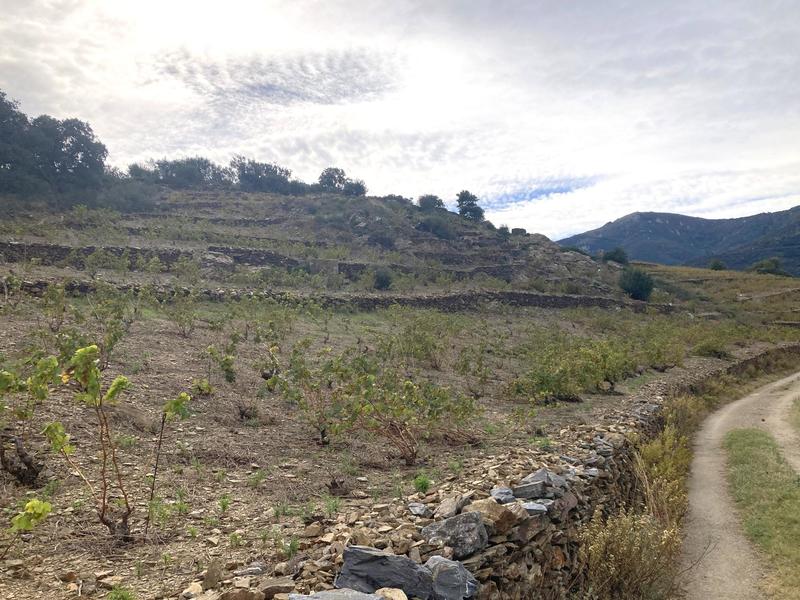 Terrain agricole - 10 846 m²